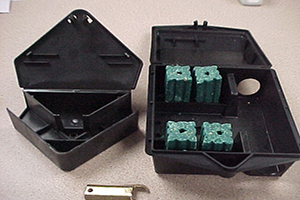 Thumbnail Image 1