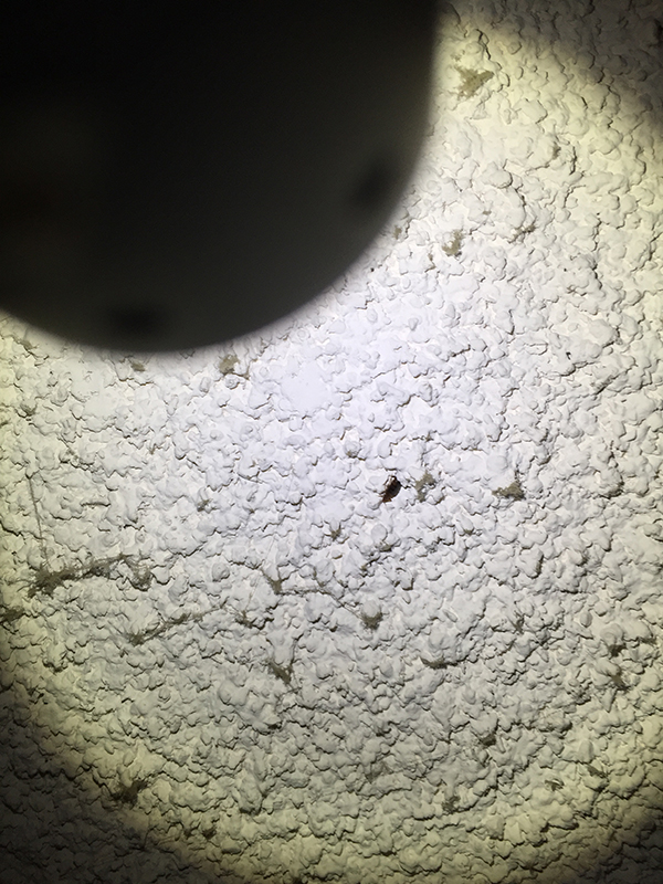 Thumbnail Image 1